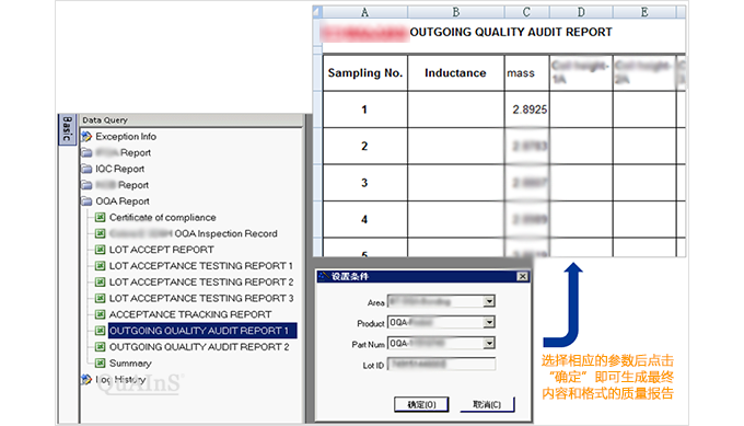 OQA Quality Inspection Report